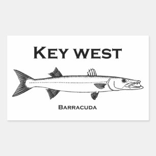 Key West Barracuda Rechteckiger Aufkleber
