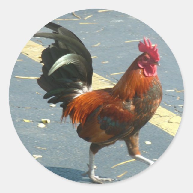 Key West Chicken Runder Aufkleber (Vorderseite)