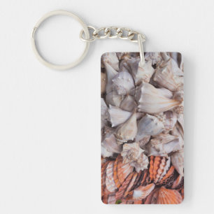 Key West, coquillages