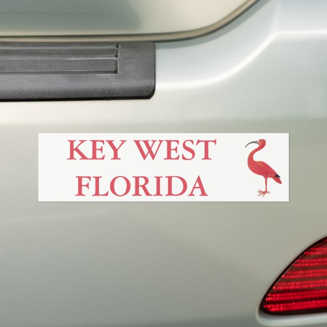 KEY WEST FLORIDA | Flamingo-Autoaufkleber Autoaufkleber (Auf Auto)