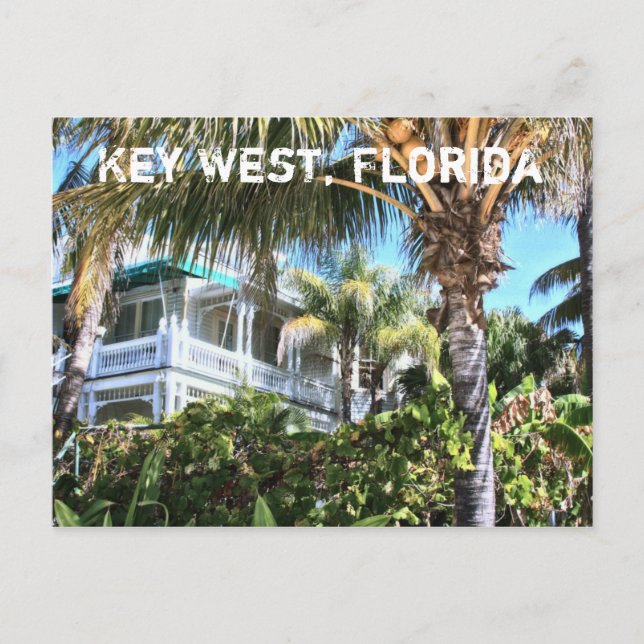 Key West Florida Sunny Tropical Postcard Postkarte (Vorderseite)