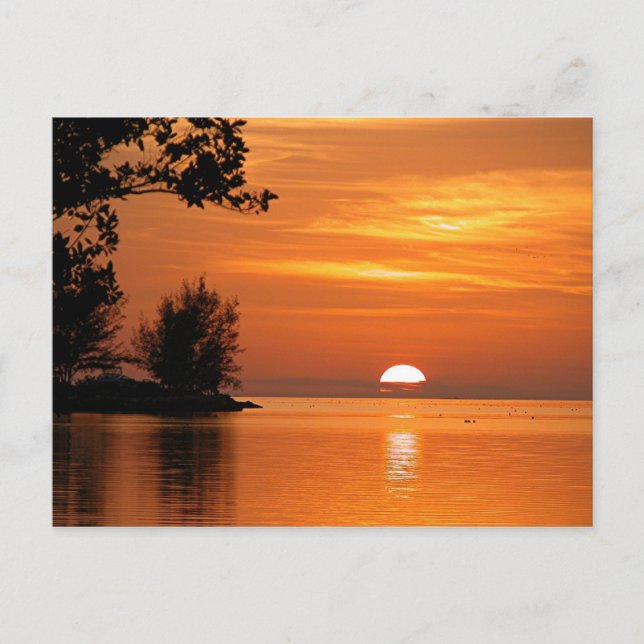 Key West Florida Sunset Postkarte (Vorderseite)