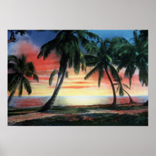 Key West Florida Tropischer Sonnenuntergang Poster
