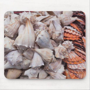 Key West, Muscheln Mousepad
