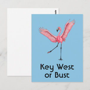 Key West oder Pleite Lustiger Florida-Rosa-Flaming Postkarte