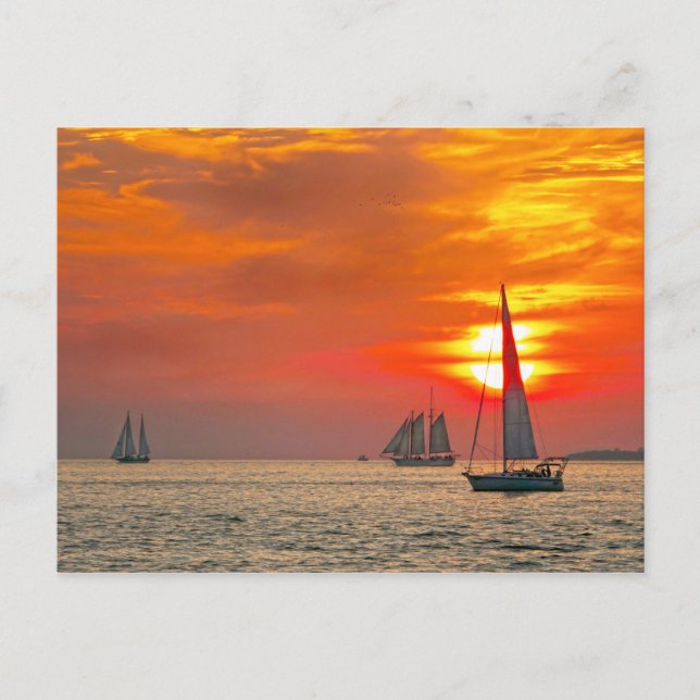Key West Sailboote bei Sunset Postkarte (Vorderseite)