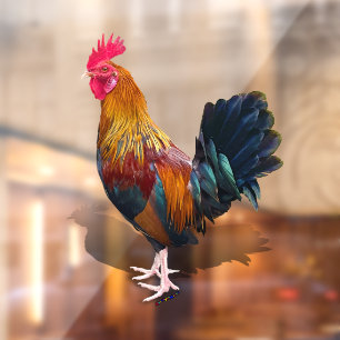Key West - Sinti und Roma Rooster Fensteraufkleber