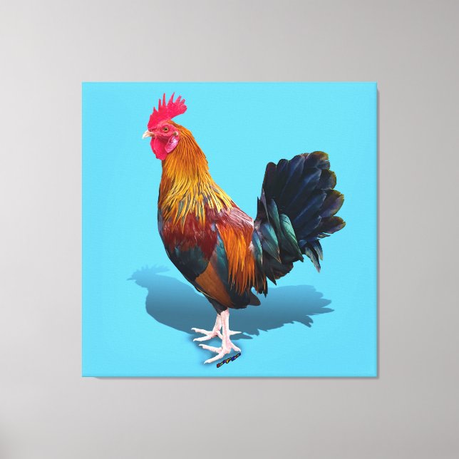 Key West - Sinti und Roma Rooster Leinwanddruck (Vorderseite)