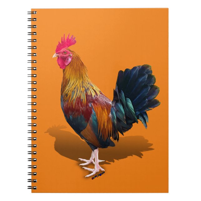 Key West - Sinti und Roma Rooster Notizblock (Vorderseite)