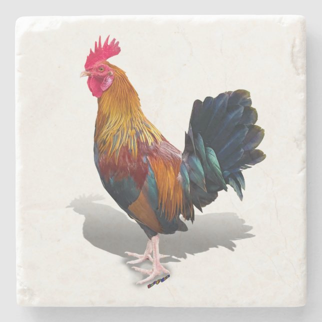 Key West - Sinti und Roma Rooster Steinuntersetzer (Vorderseite)