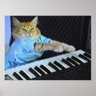 Keyboard Cat Wall Poster! Poster