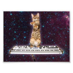 Keyboard-Katze schlägt wieder Fotodruck