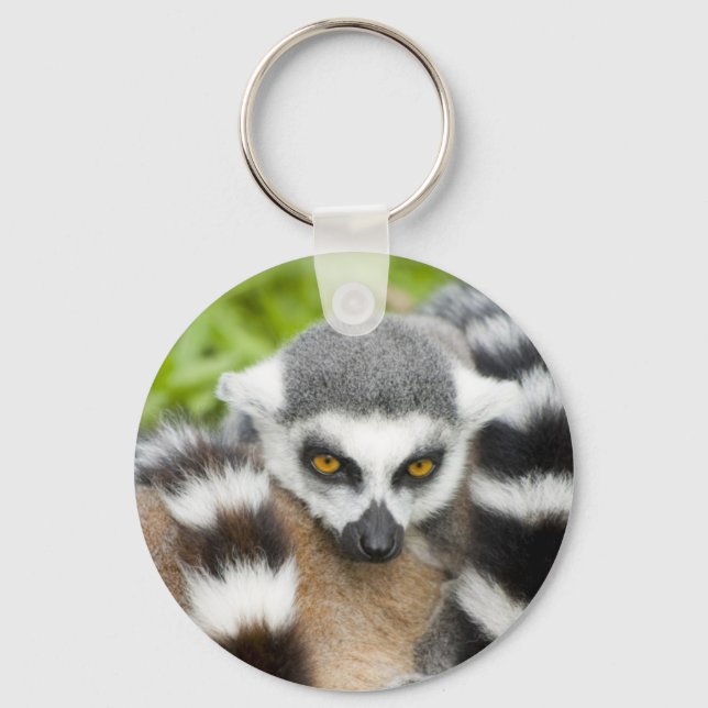 Keyring - Niedlicher Lemur Stripey Schwanz Schlüsselanhänger (Vorderseite)