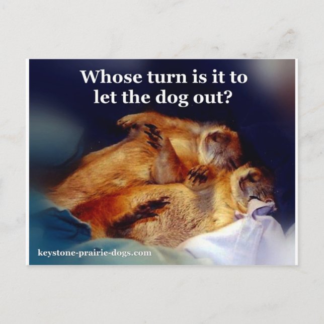 Keystone Prairie Hunde ließ das Hundememe heraus Postkarte (Vorderseite)