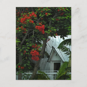 KeyWest Zin Room Post Card Postkarte