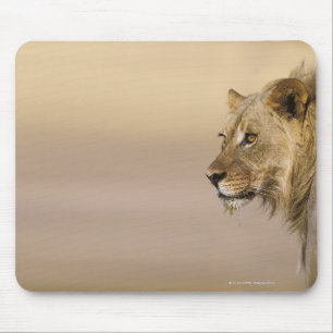 Kgalagadi Grenzpark, Nordkap Mousepad