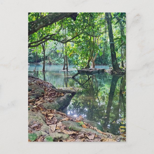 Khoung Si Fälle, Forestsee, Laos Postkarte (Vorderseite)