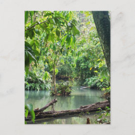 Khoung Si Falls, Forest Lake, Laos Postkarte