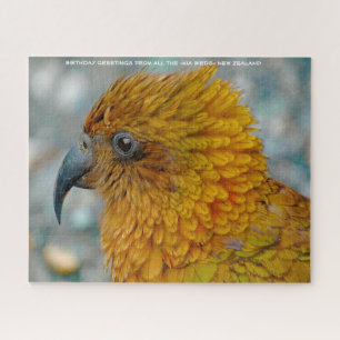 Kia Bird Neuseeland