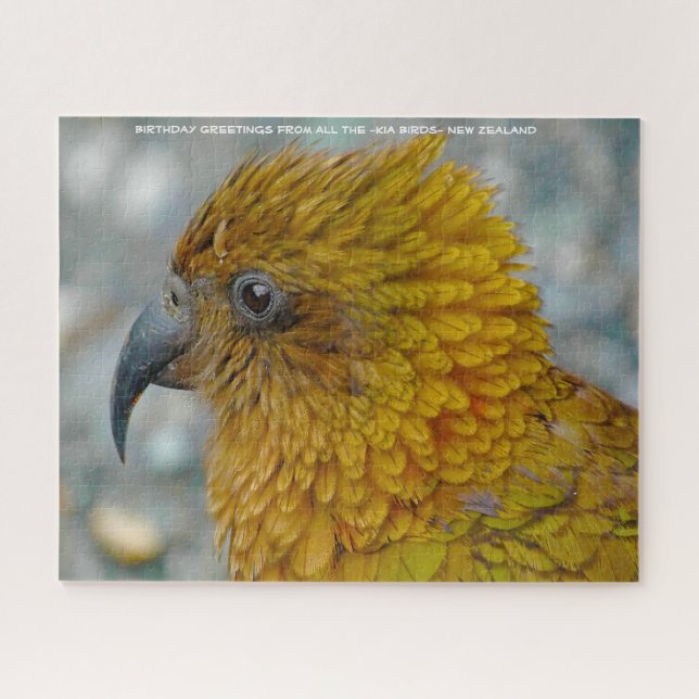 Kia Bird Neuseeland (Horizontal)