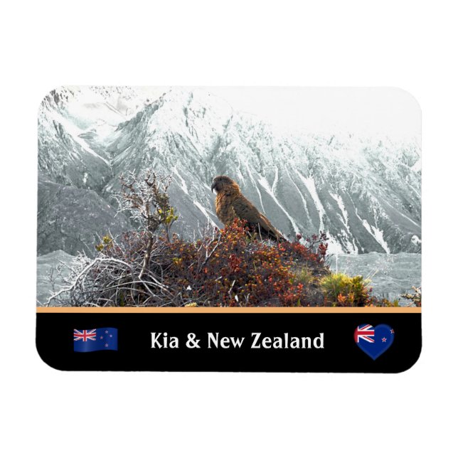 Kia Parrot & Famous Birds, Trekking/Neuseeland Magnet (Horizontal)