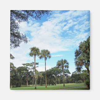 Kiawah Island Magnet