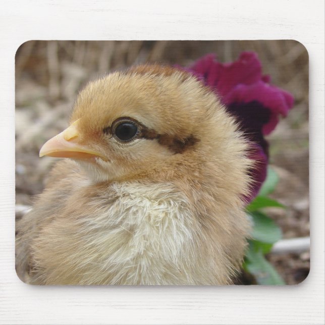 Kick in Pansy Garden Mousepad (Vorne)