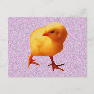 Kick on Move Postkarte