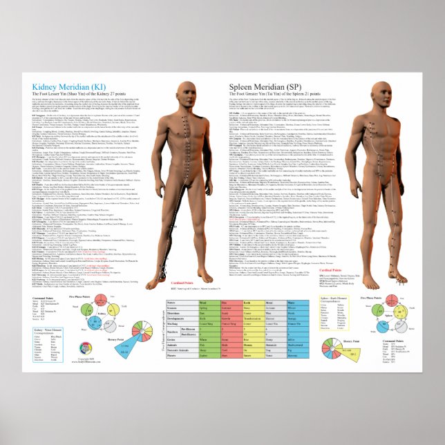 Kidney Meridian Acupuncture Points Poster (Vorne)