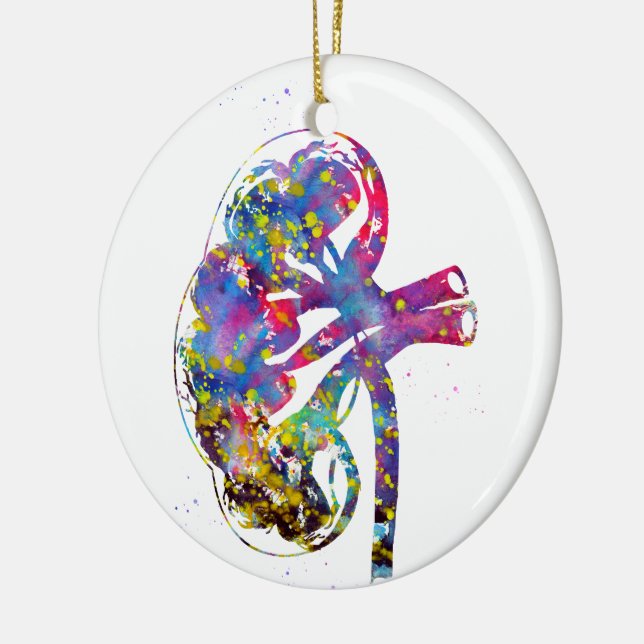 Kidney Sektion Keramik Ornament (Links)