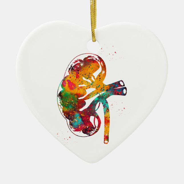 Kidney Sektion Keramik Ornament (Vorne)