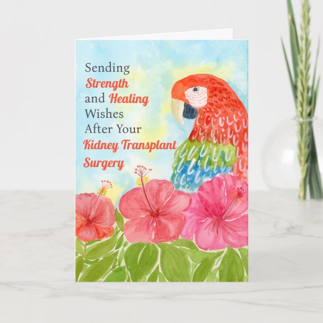 Kidney Transplant Healing Scarlet Macaws, Hibiscus Karte (Vorderseite)