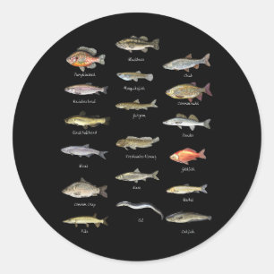 Kids Fish Species Biology Types Of Freshwater Fish Runder Aufkleber