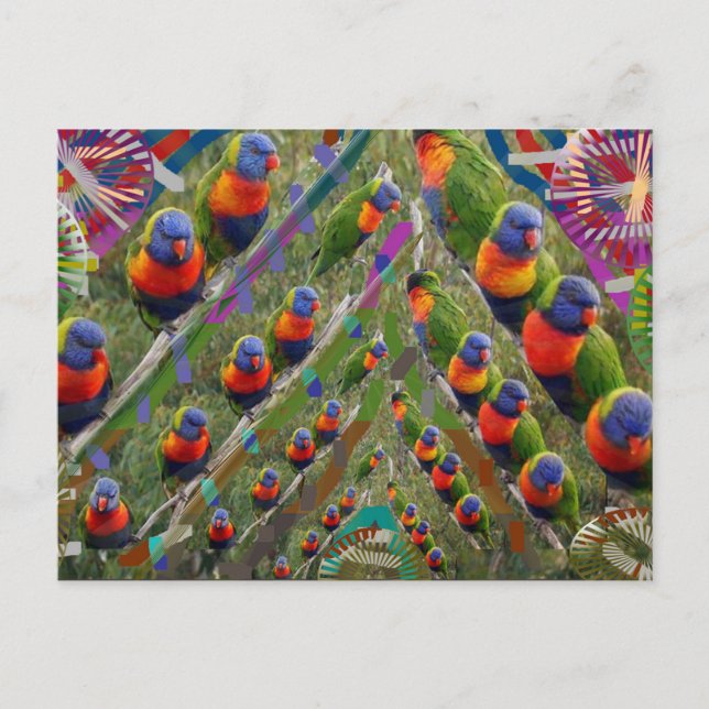 KIDS Liebe Parrots Postkarte (Vorderseite)