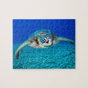 Kids underwater 110 Teile Sea turtle Jigsaw Puzzl