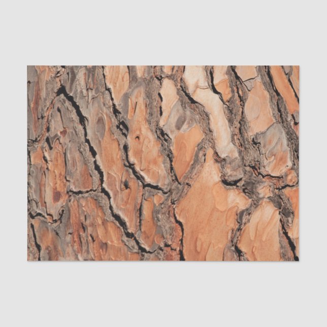 Kiefer-Barken-Beschaffenheit Seidenpapier (Vorderseite)