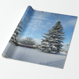 Kiefer im Schnee Geschenkpapier