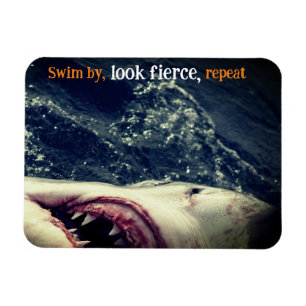 Kiefer Magnet