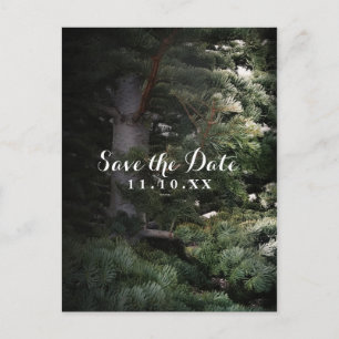 Kiefer Rustikaler Wald Save the Date Party Ankündigungspostkarte
