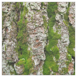 Kiefern-Baum-Barke mit Moos-Foto-Gewebe Stoff