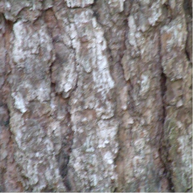 Kiefern-Baum-Barken-Camouflage-natürliche hölzerne Freistehende Fotoskulptur (Vorne)