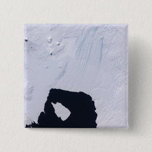 Kiefern-Insel-Gletscher Button