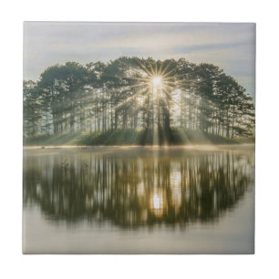 Kiefern-InselSunray Fliese