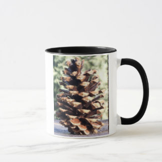 Kiefern-Kegel-Tasse Tasse