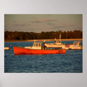 Kiefern-Punkt Maine 24" x 18", Plakat