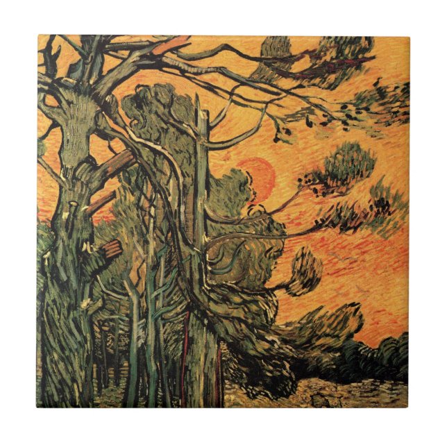 Kiefern Rote Himmel Untergehende Sonne von Vincent Fliese (Vorderseite)