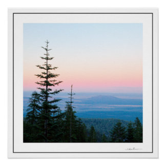 Kiefern Sonnenuntergang von Sidharta Poster