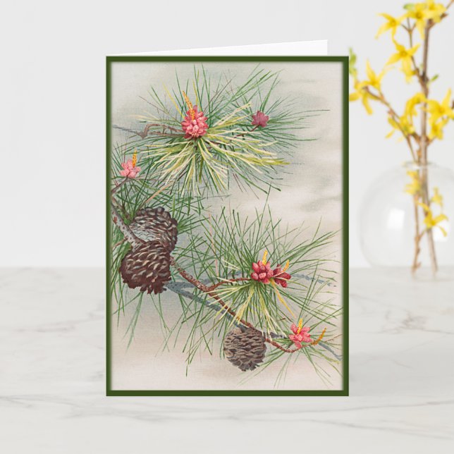 Kiefern und Blume Weihnachten Karte (Gelbe Blume)