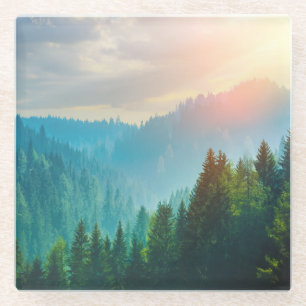 Kiefern-Wald in den Dolomit, Italien Glasuntersetzer