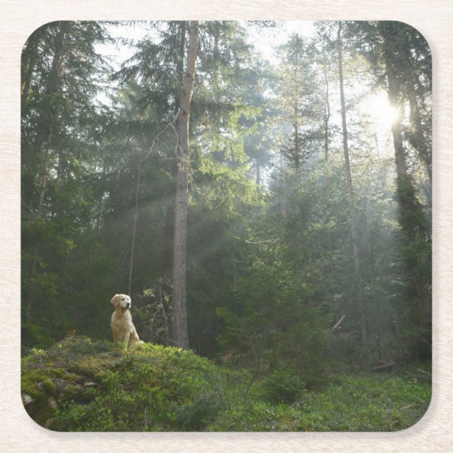 Kiefern-Waldland des golden retriever-Hund| Rechteckiger Pappuntersetzer (Vorderseite)